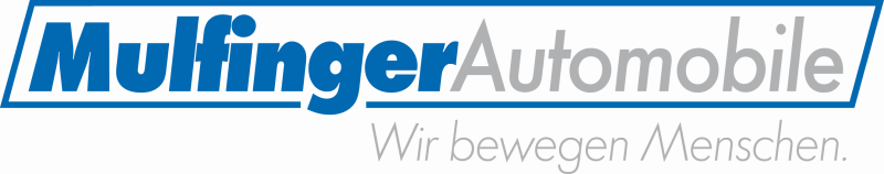 Logo Mulfinger