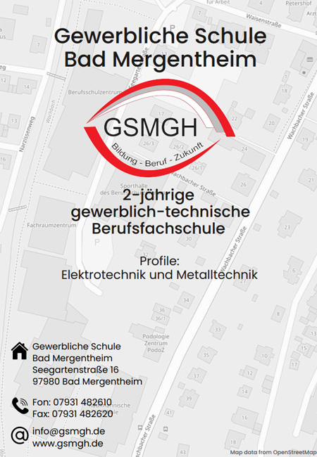 Vorschau zum Info-Flyer der 2BFS und Link zum pdf-Dokument