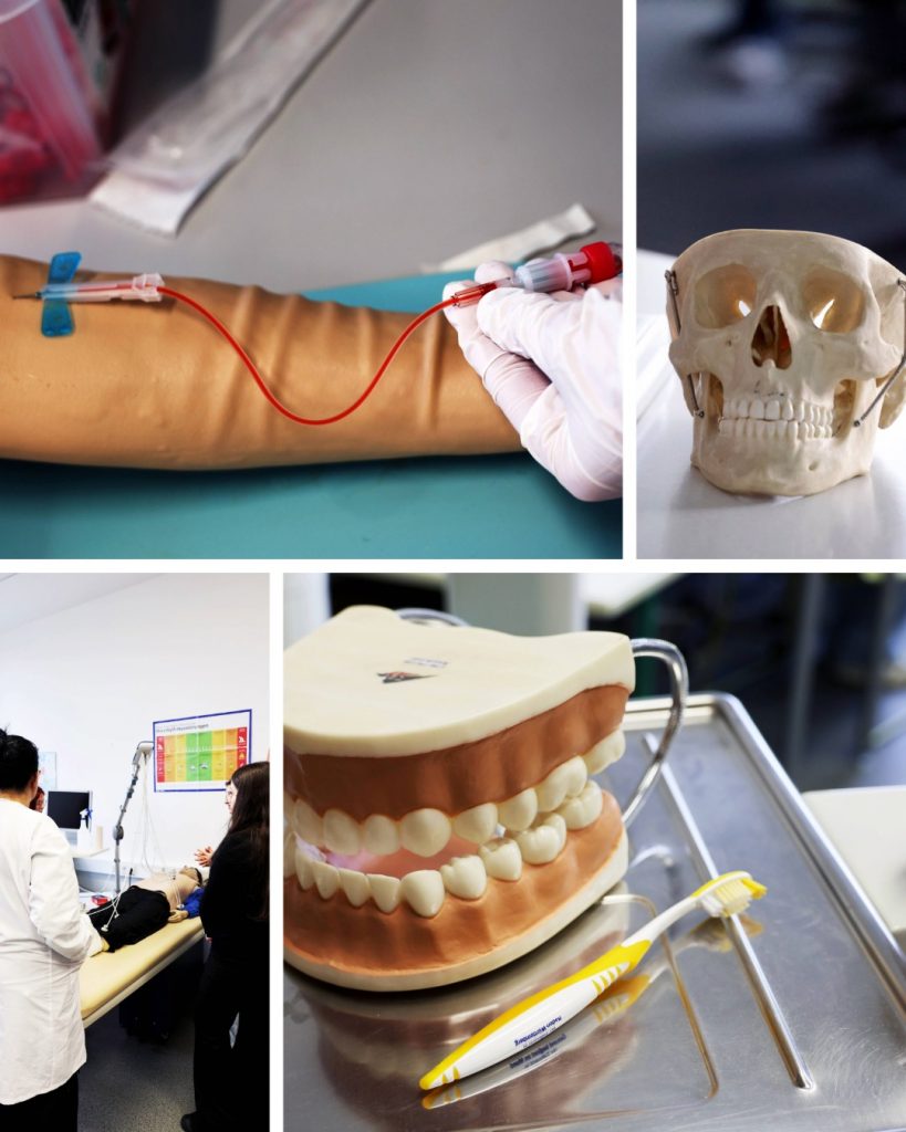 Medizin- und Zahnmedizin-Übungsstationen